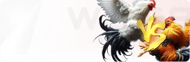 header.nav_menu.cockfight_ws168 thumb